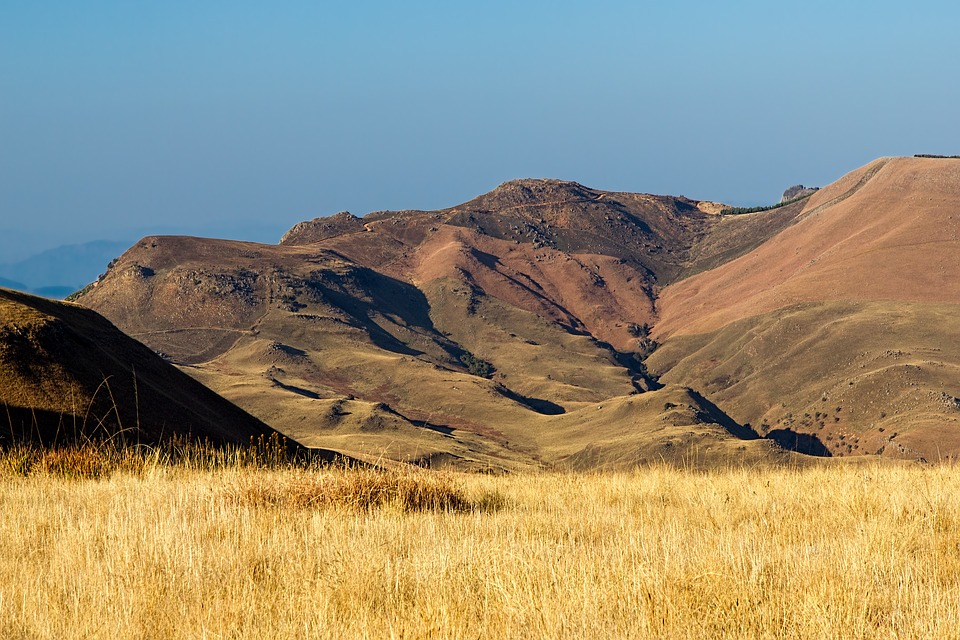 0319　THE SOUTHERN AFRICAN ENVIRONMENT Water availability, bedrock, disturbance by herbivores, and